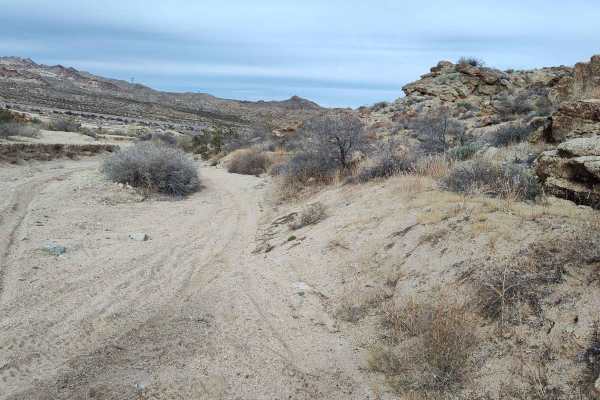Bridge Canyon to Laughlin Single Track