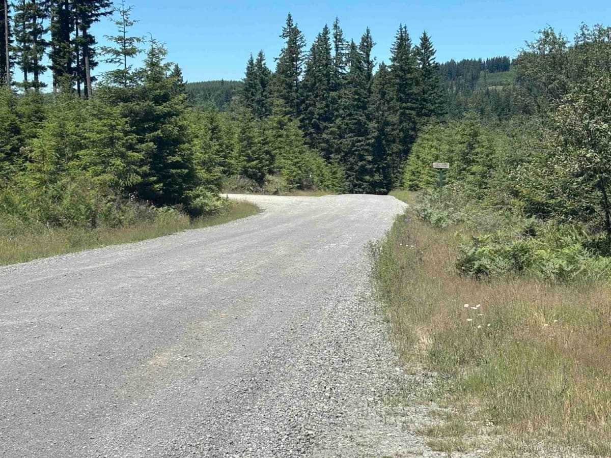 Cold Creek Camp photo 5