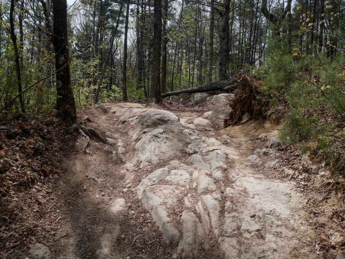 Trail 4 Kirby's Loop trail photo