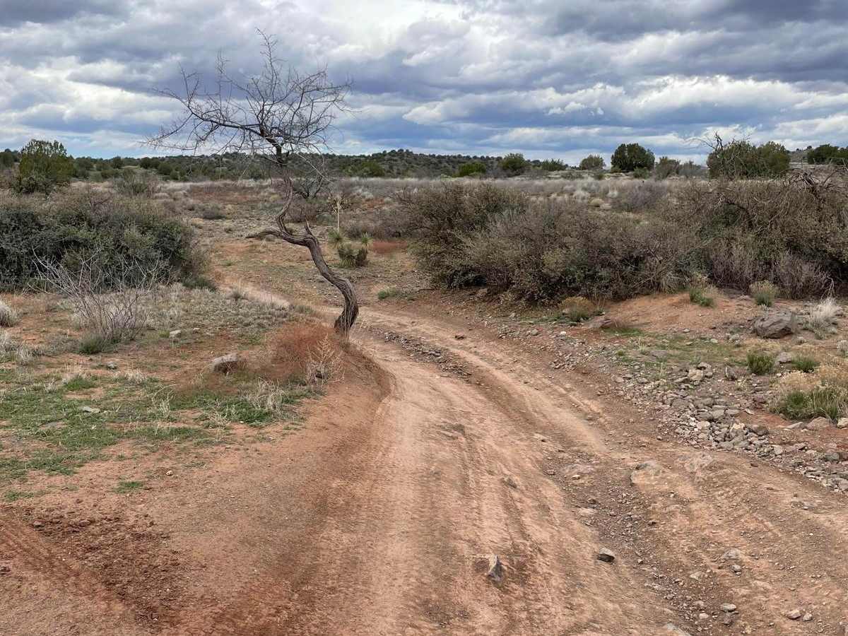 Ranch Loop OHV photo 5