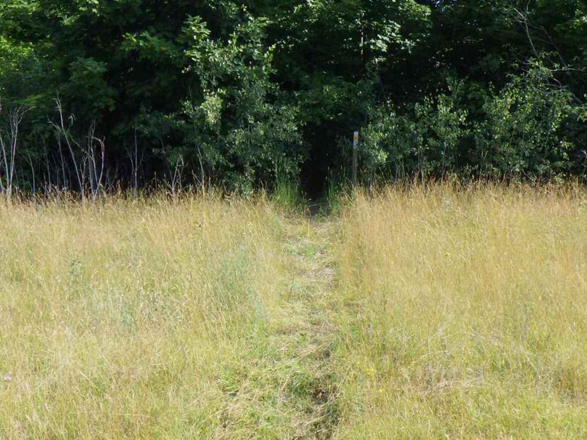 Foreman Lake Motorcycle Trail photo 5