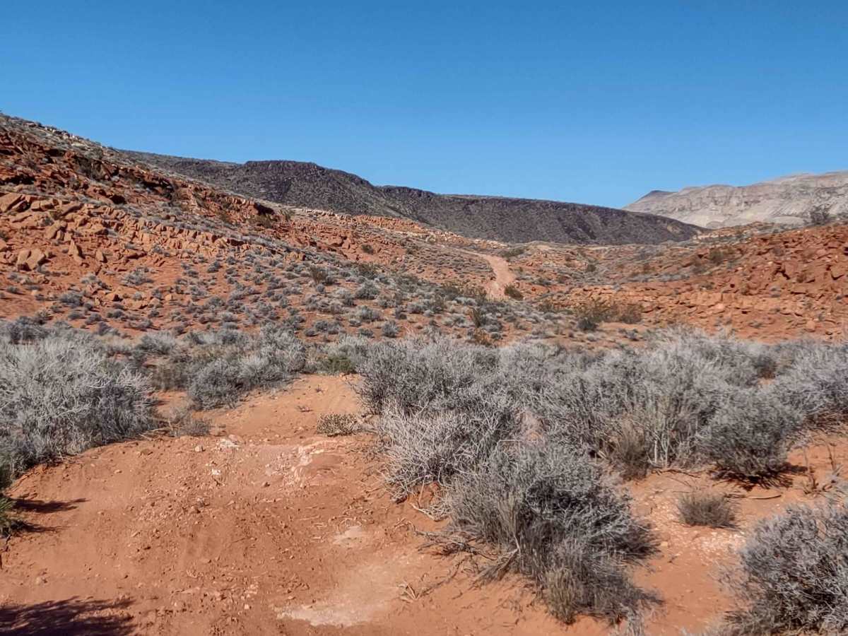 Dinosaur Tracks to East Rim photo 6