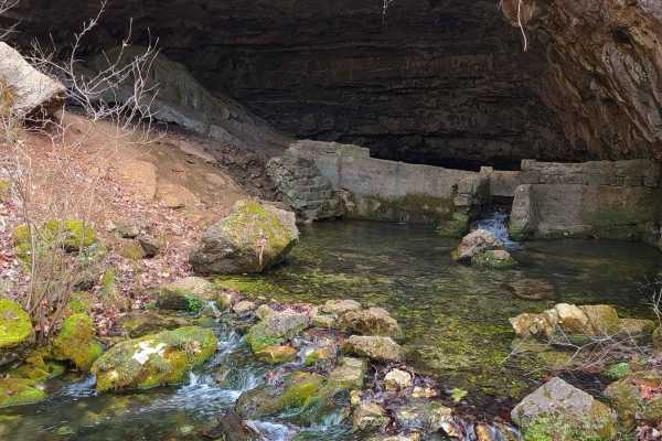 Cave Spring - NPS 105