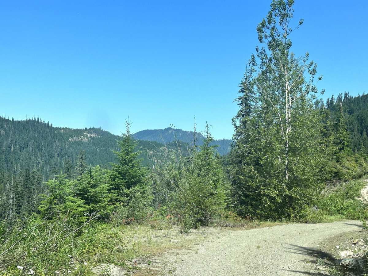Hood Berry Trail photo 2