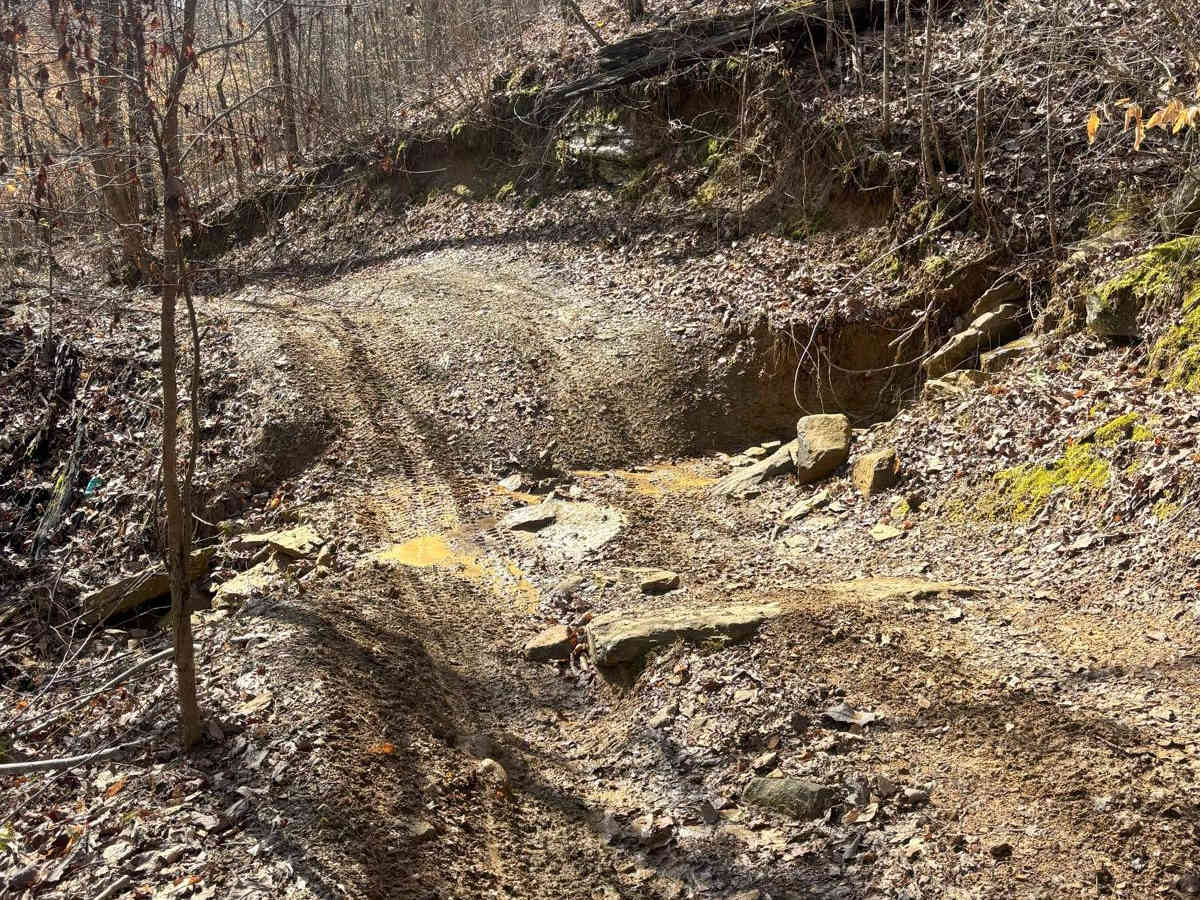 505 trail photo