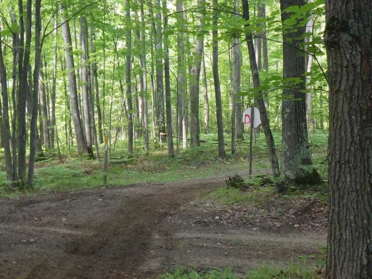 West Higgins Trail - North Cutoff, 14488, 18136, 14483, and 14484 photo 3