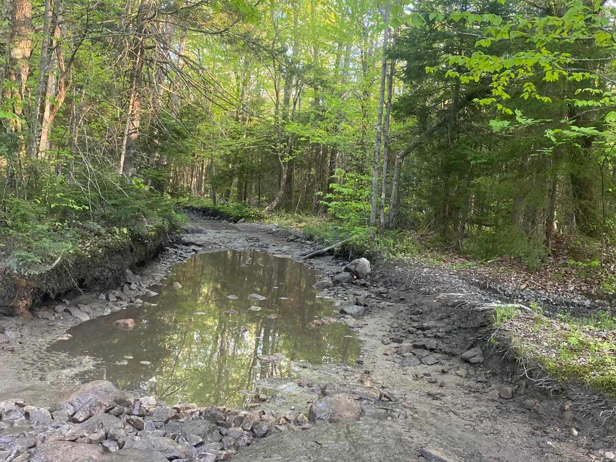 Sucker Pond photo 2