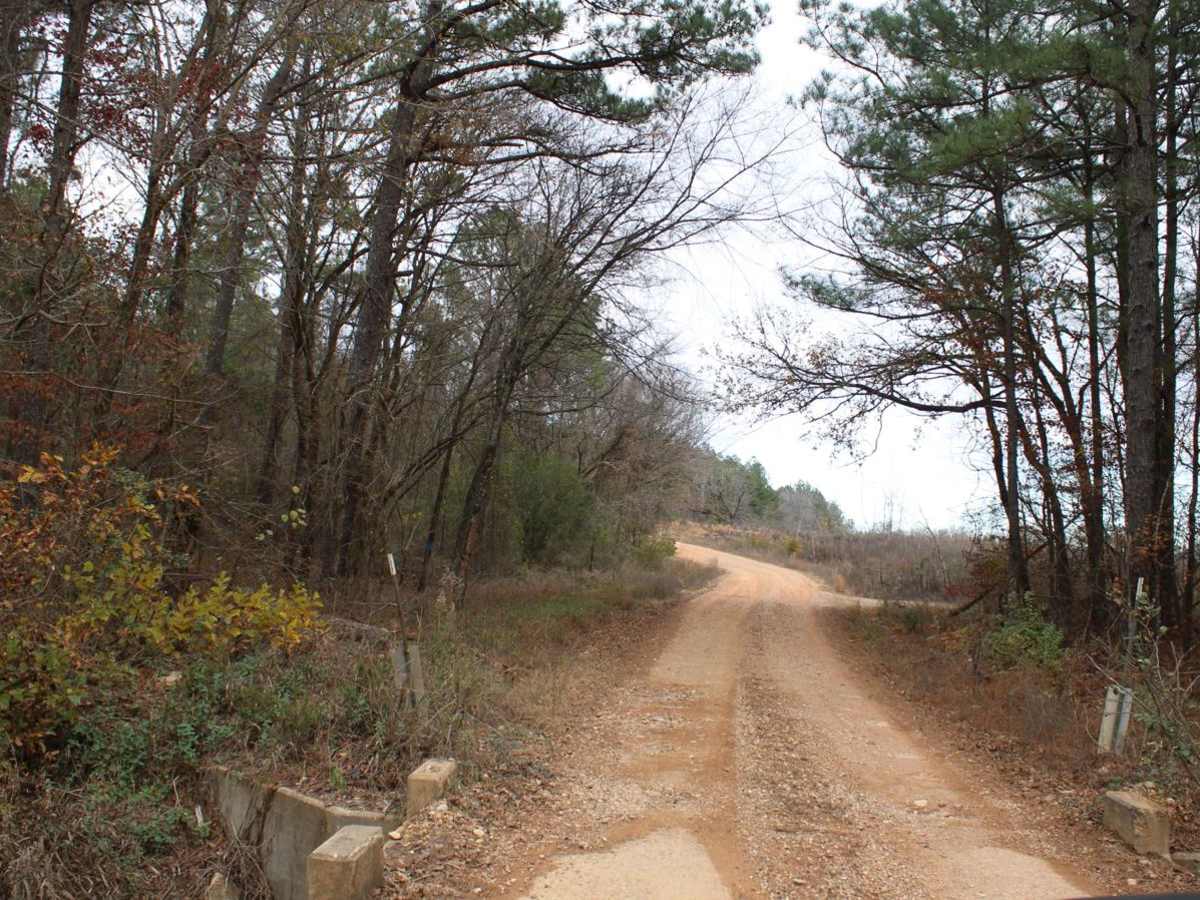 County Road 55 photo 6