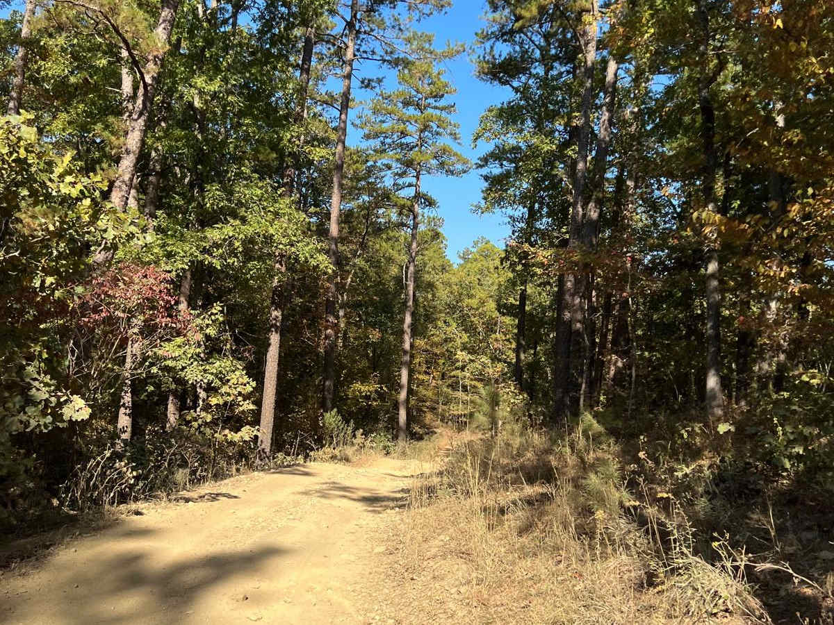 Wolf Pen Gap 313 photo 3