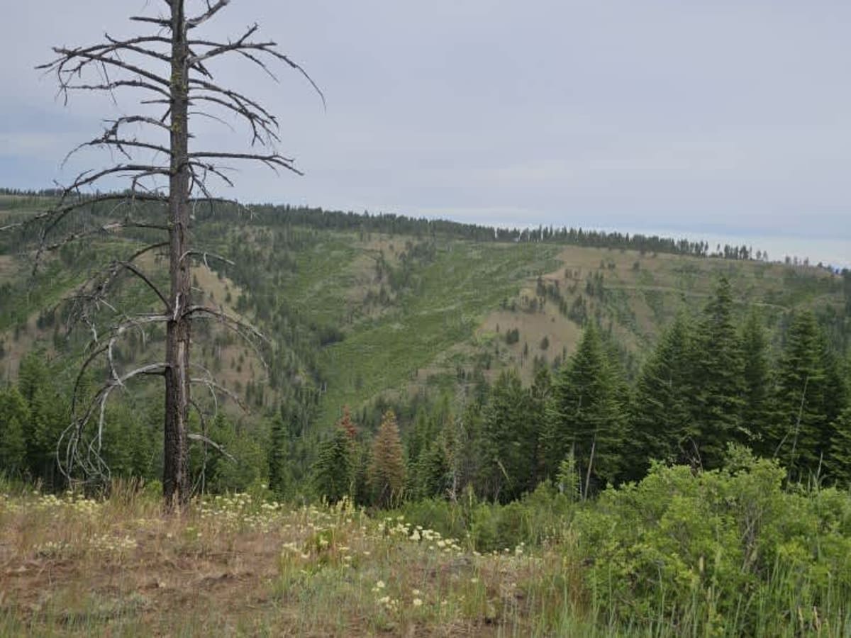 Stevens Ridge photo 5