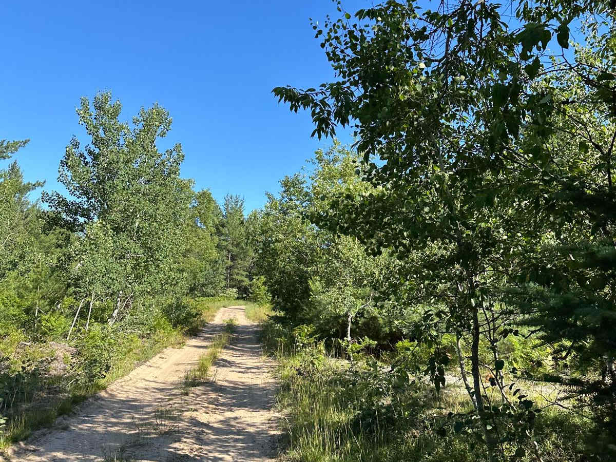 Barker Trail trail photo