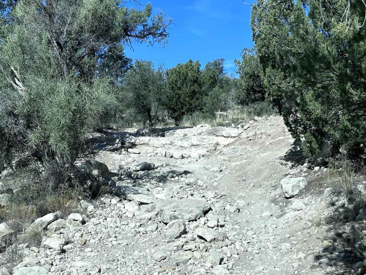 Skeleton Bones Trail photo 5