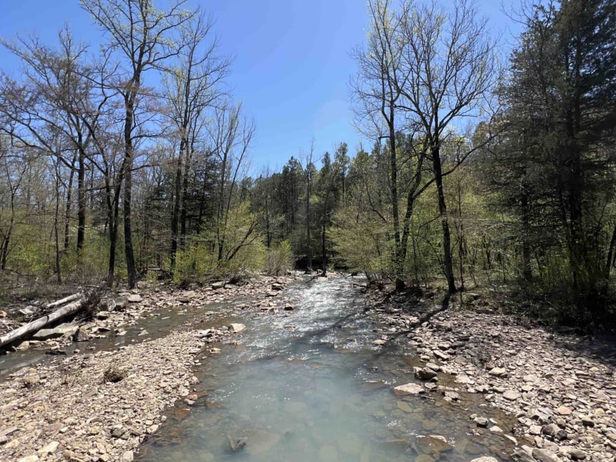 Fanes Creek 1520 photo 6