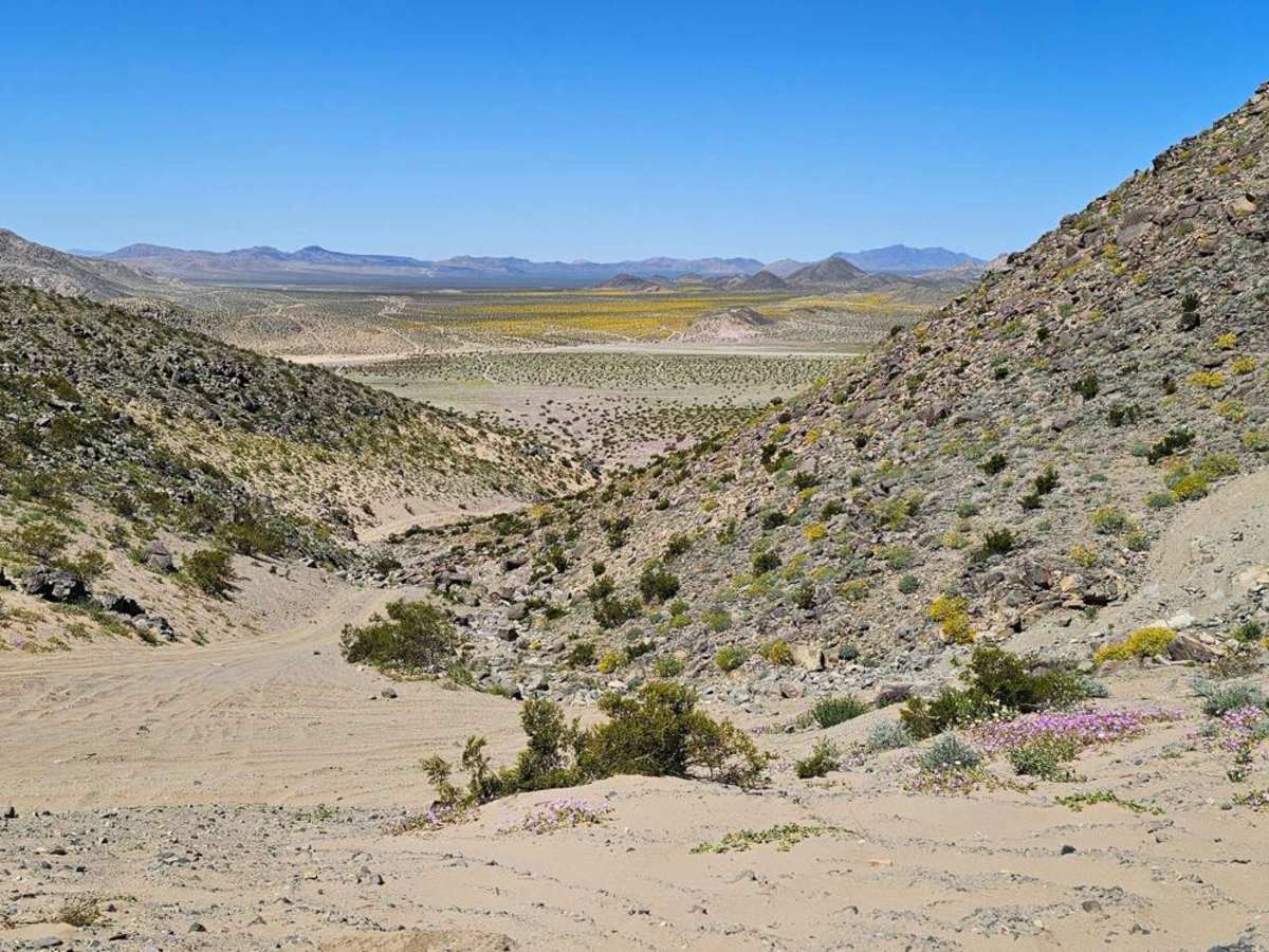 Big Johnson trail photo