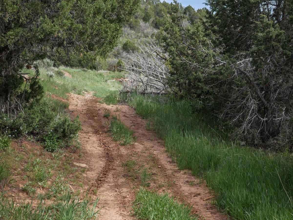 Knoll Hollow ATV Trail trail photo