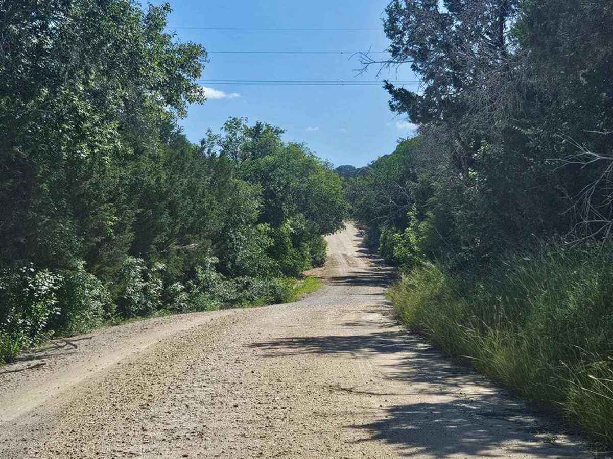 Bosque 1035 trail photo