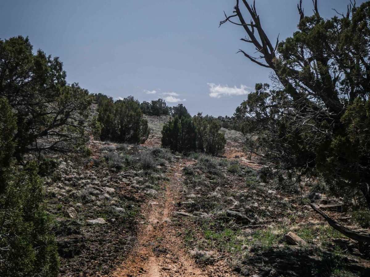 BLM Route 85 photo 6