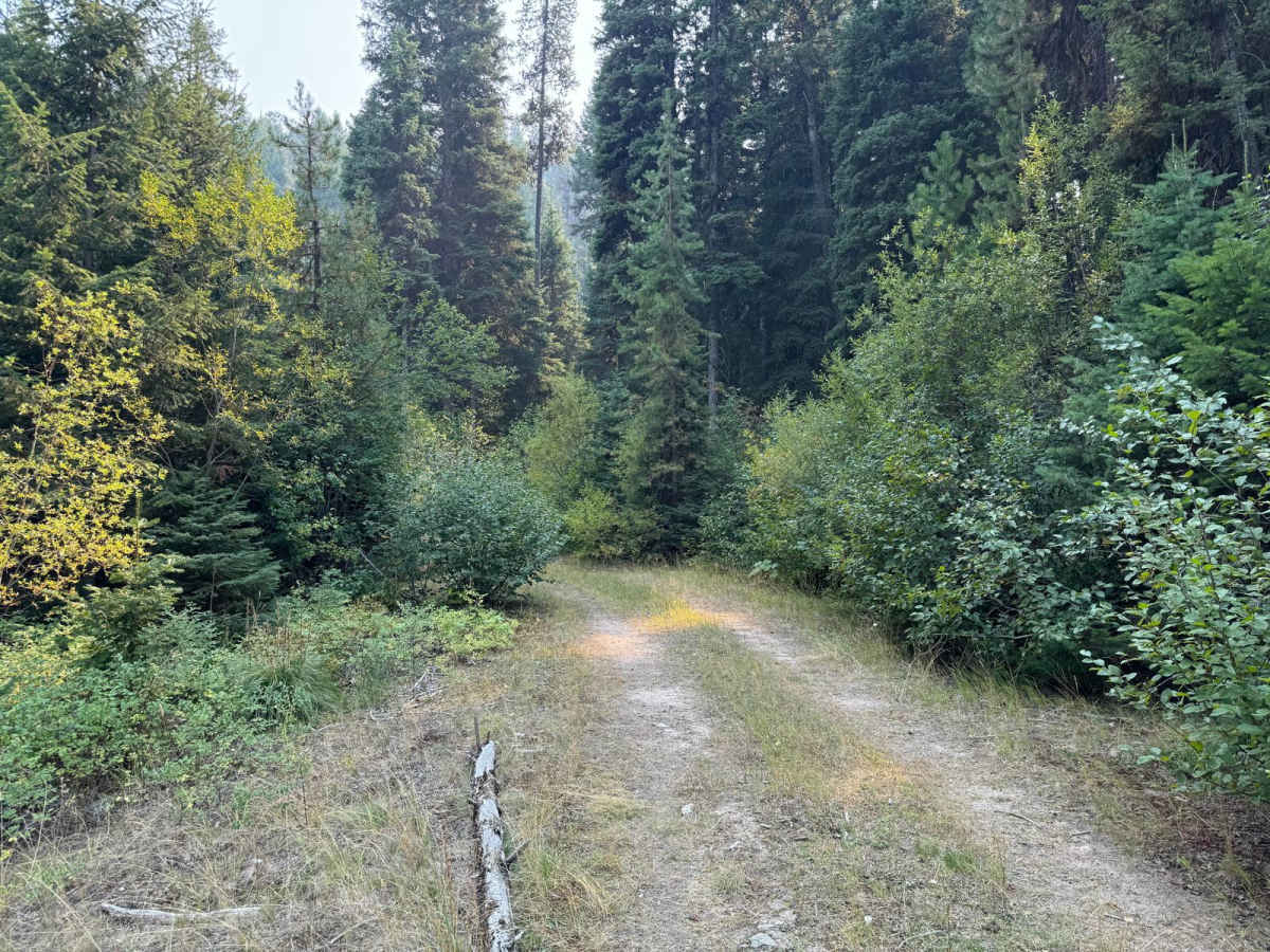 Huckleberry Sale photo 6