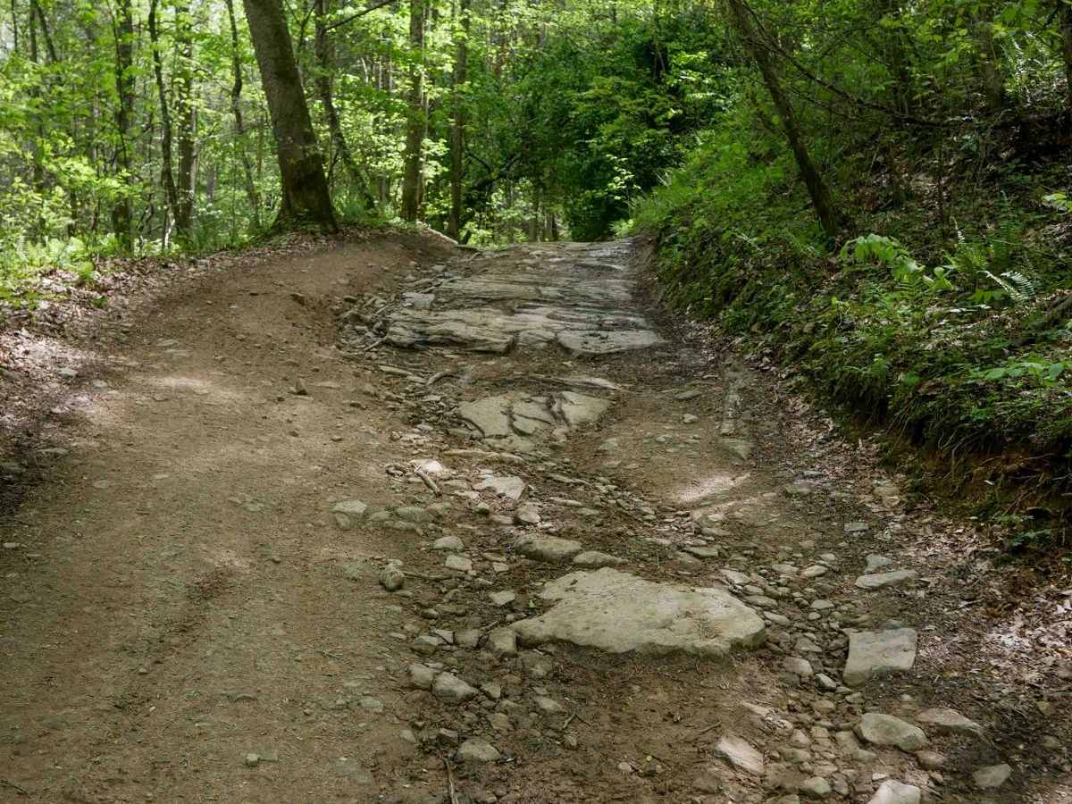 PC 16 trail photo