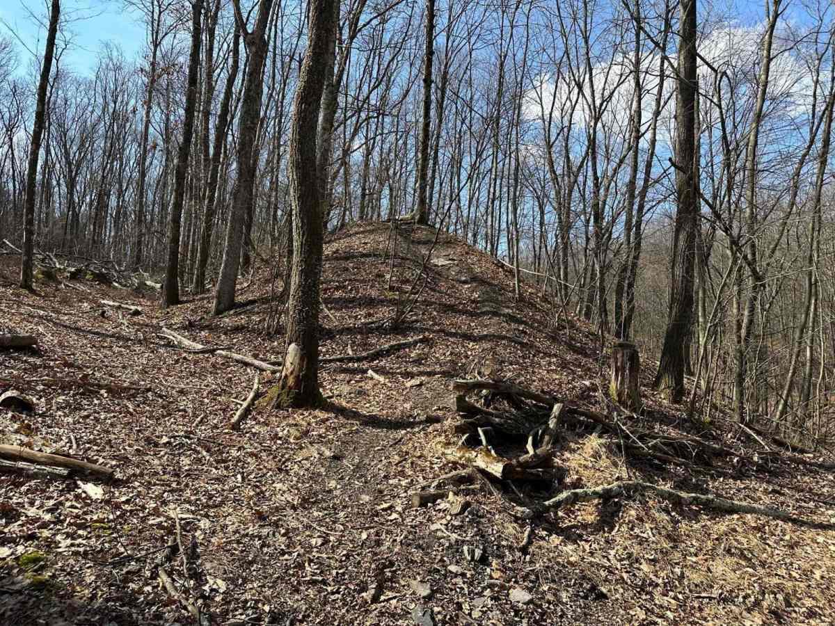 Ashland RORR Single Track - D photo 5