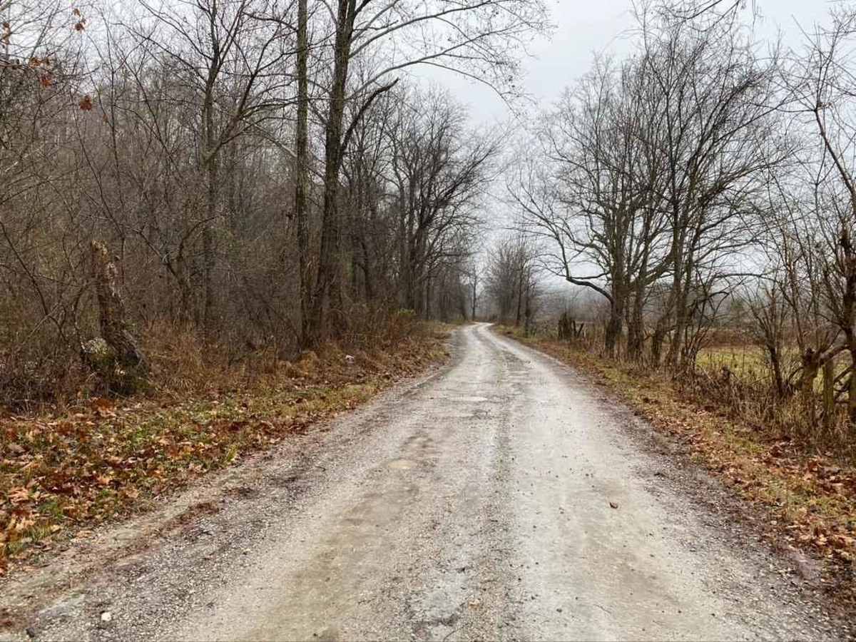 Wilderness Retreat Road photo 3