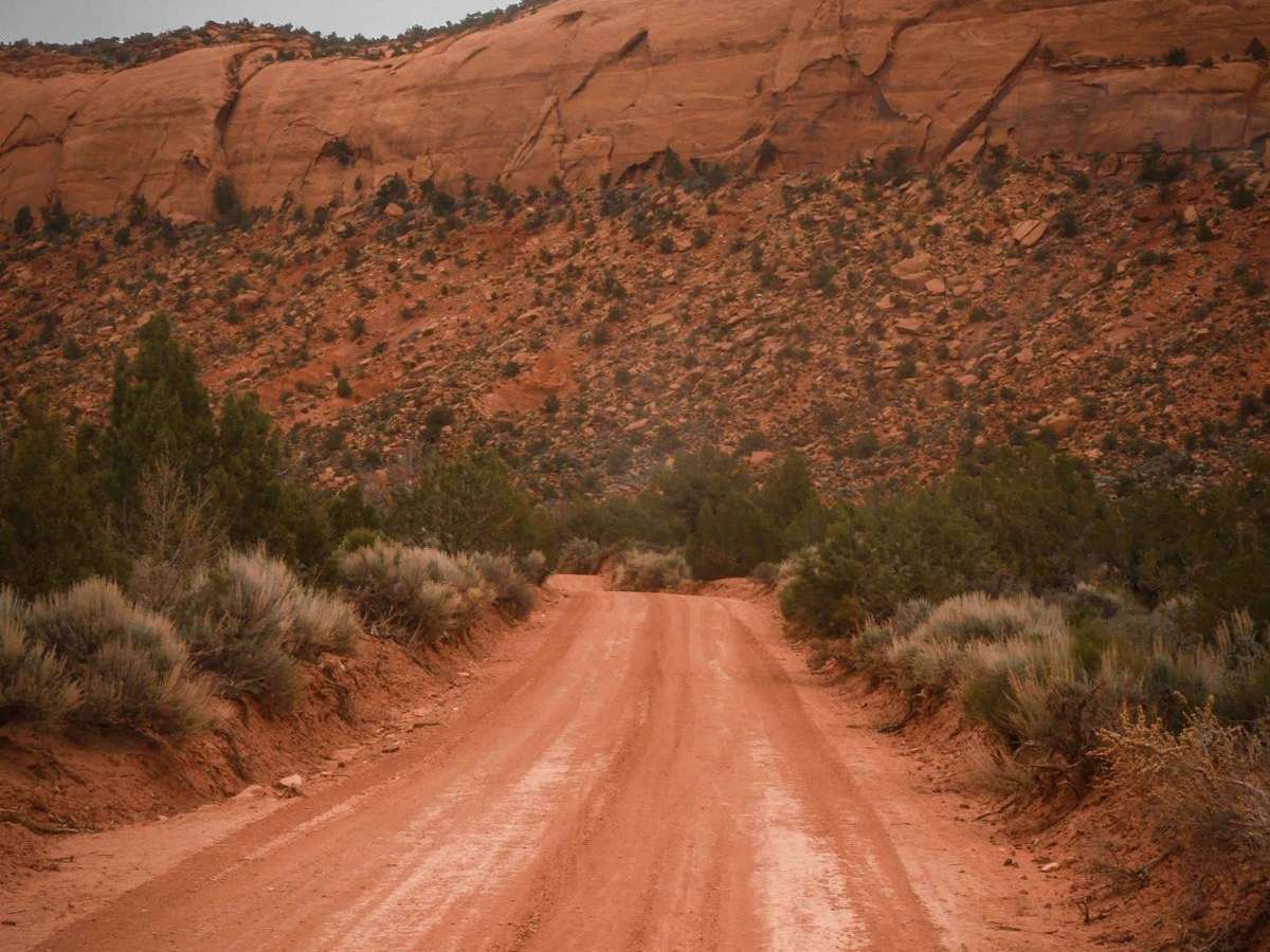 205 trail photo