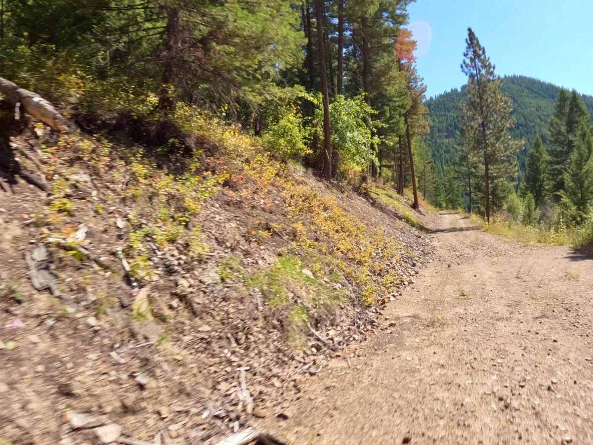 Deep Creek Road Spur Loop photo 5