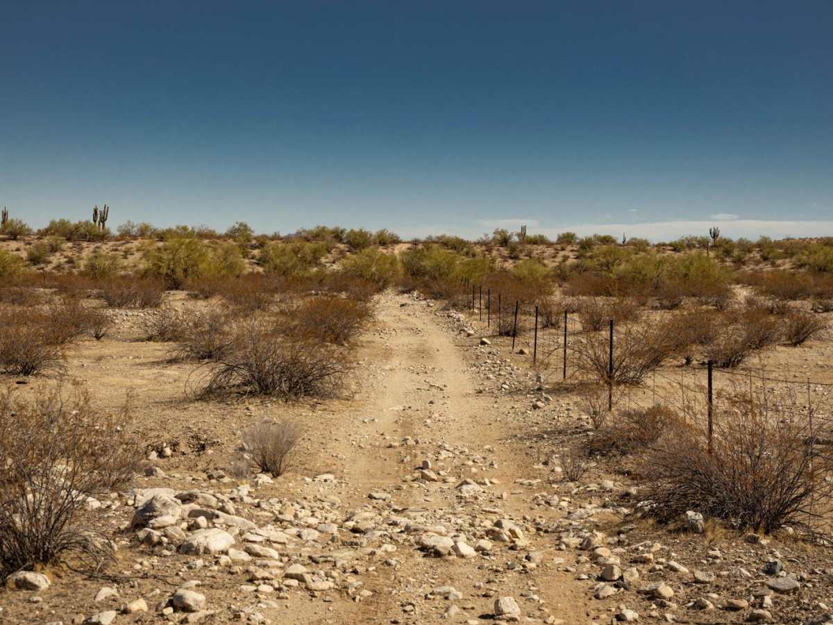Fenceline Runout photo 4
