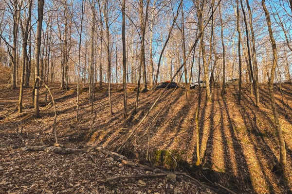 Hance Hollow Road - Macon County Tour