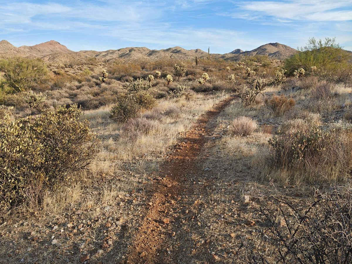 Wash Alternate - Single Track photo 5