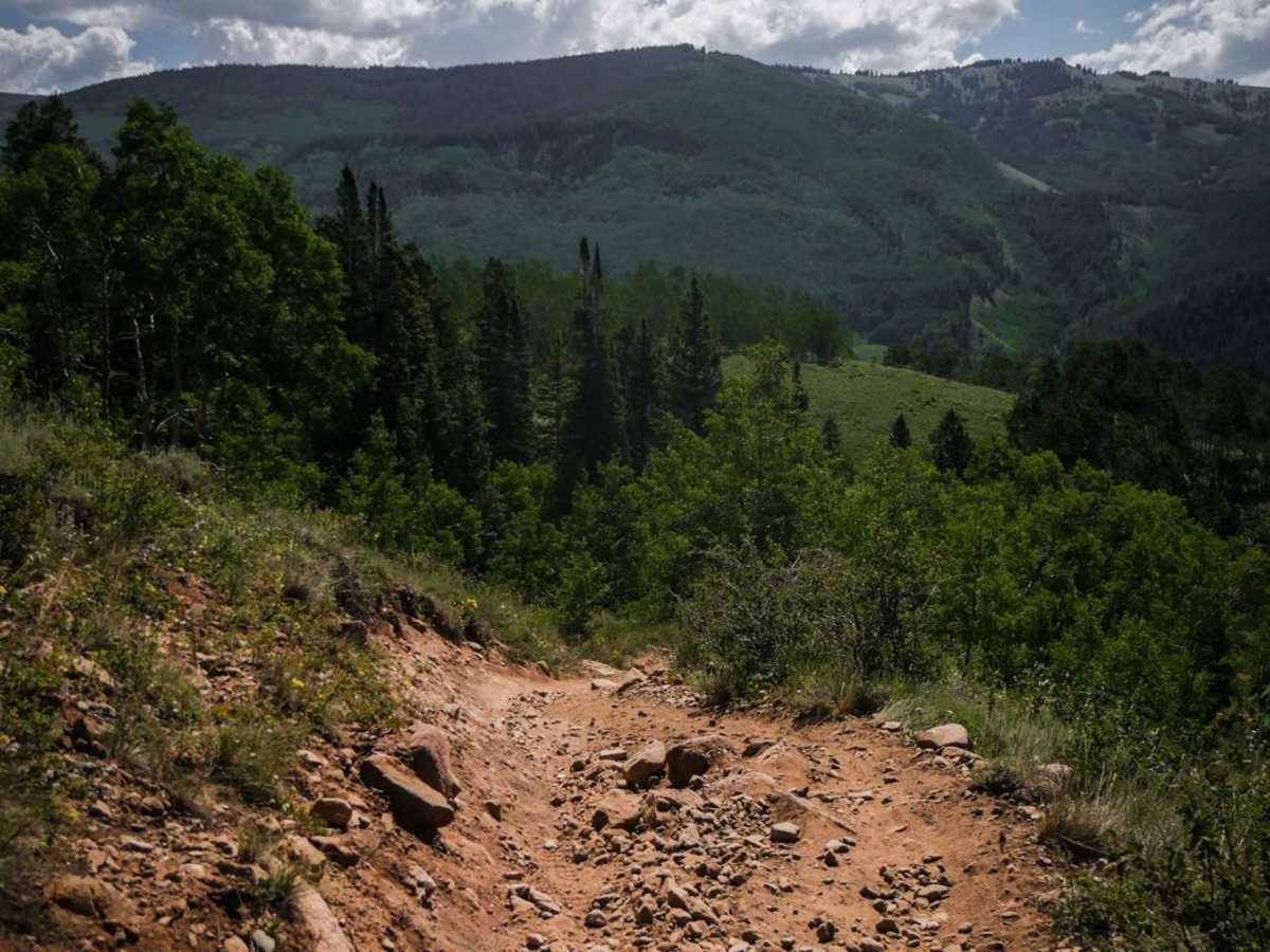 Walrod Gulch Trail photo 2