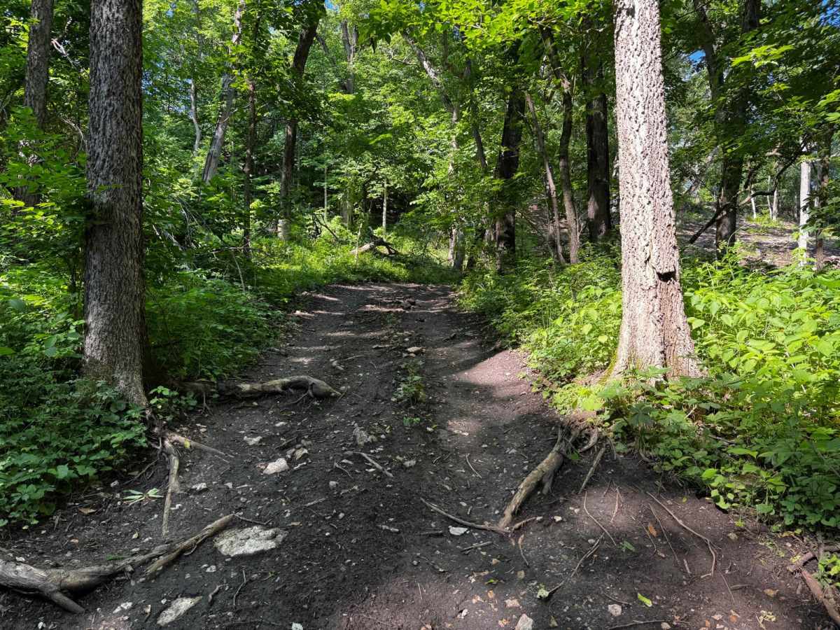 Red 214 trail photo