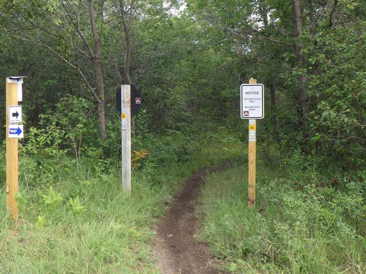 Beaver Creek MCCCT - 66775, 66776, 14894, and 16099 trail photo