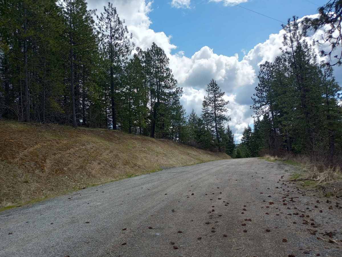 Mount Coeur d'Alene (439) photo 2