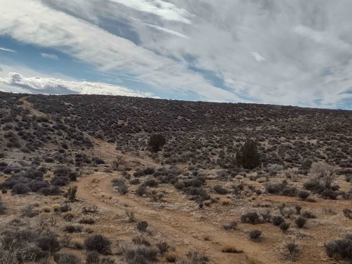 Yucca Way Spur photo 3