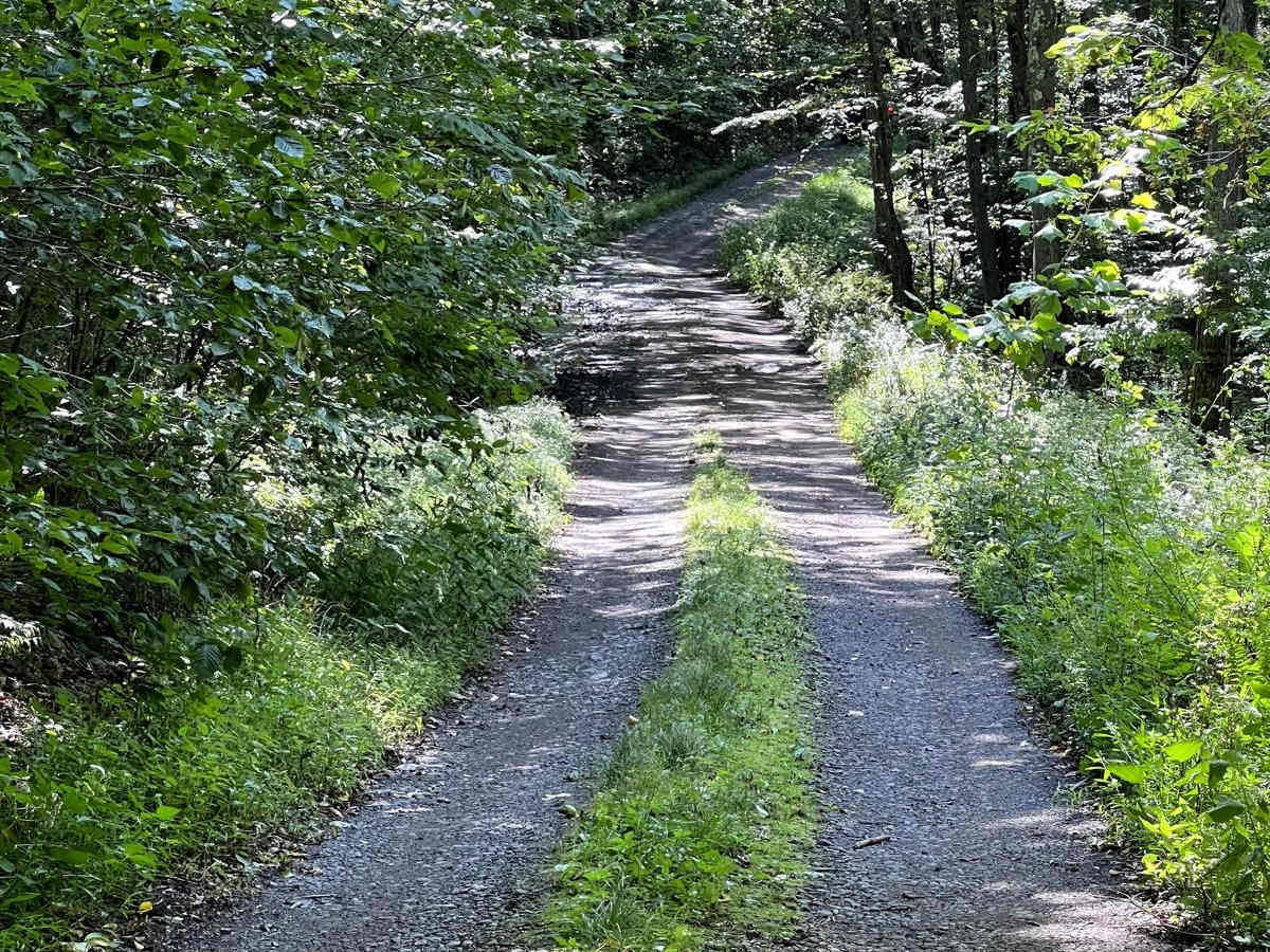 McIntyre Road photo 5