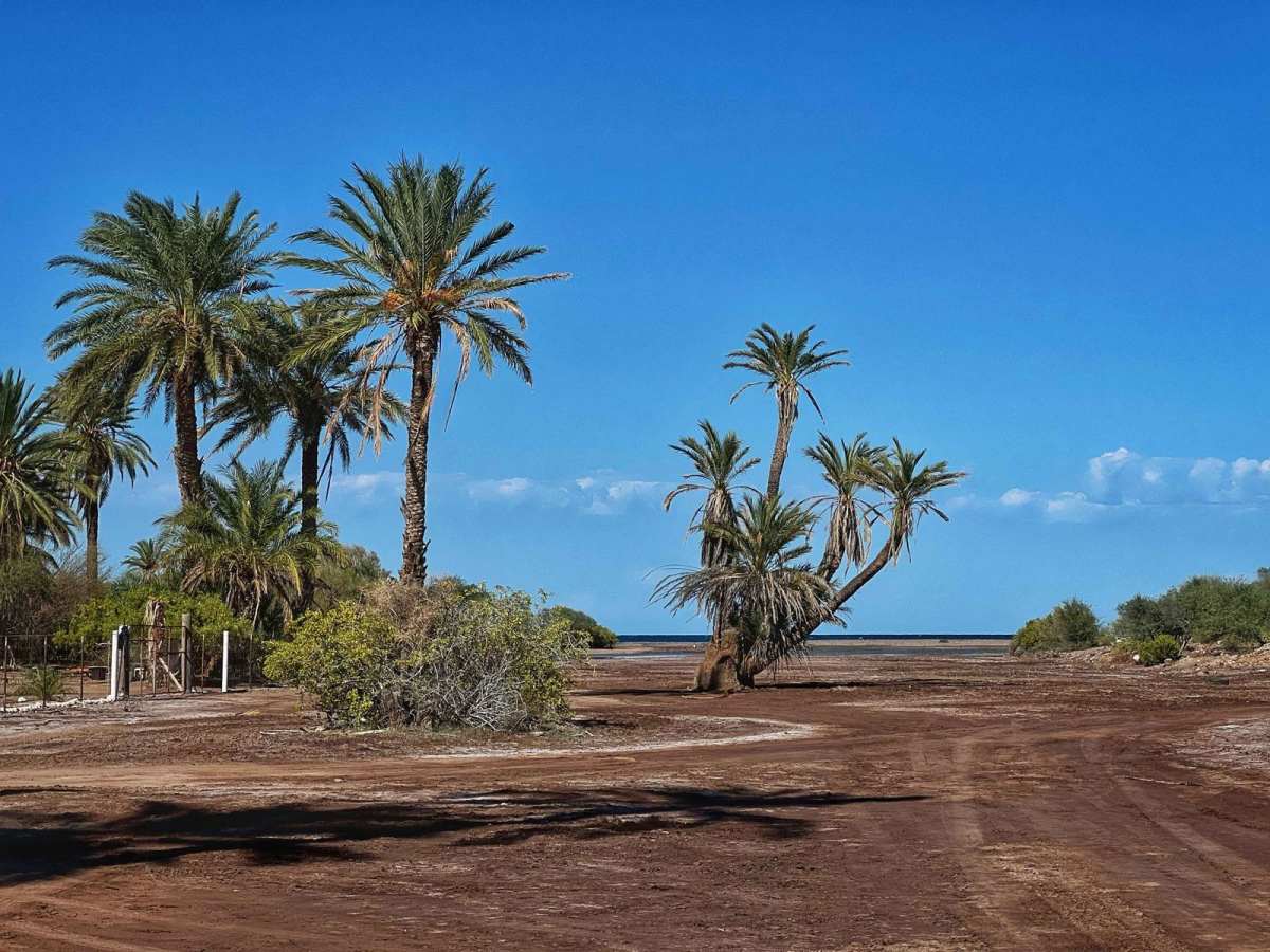 San Nicolas trail photo