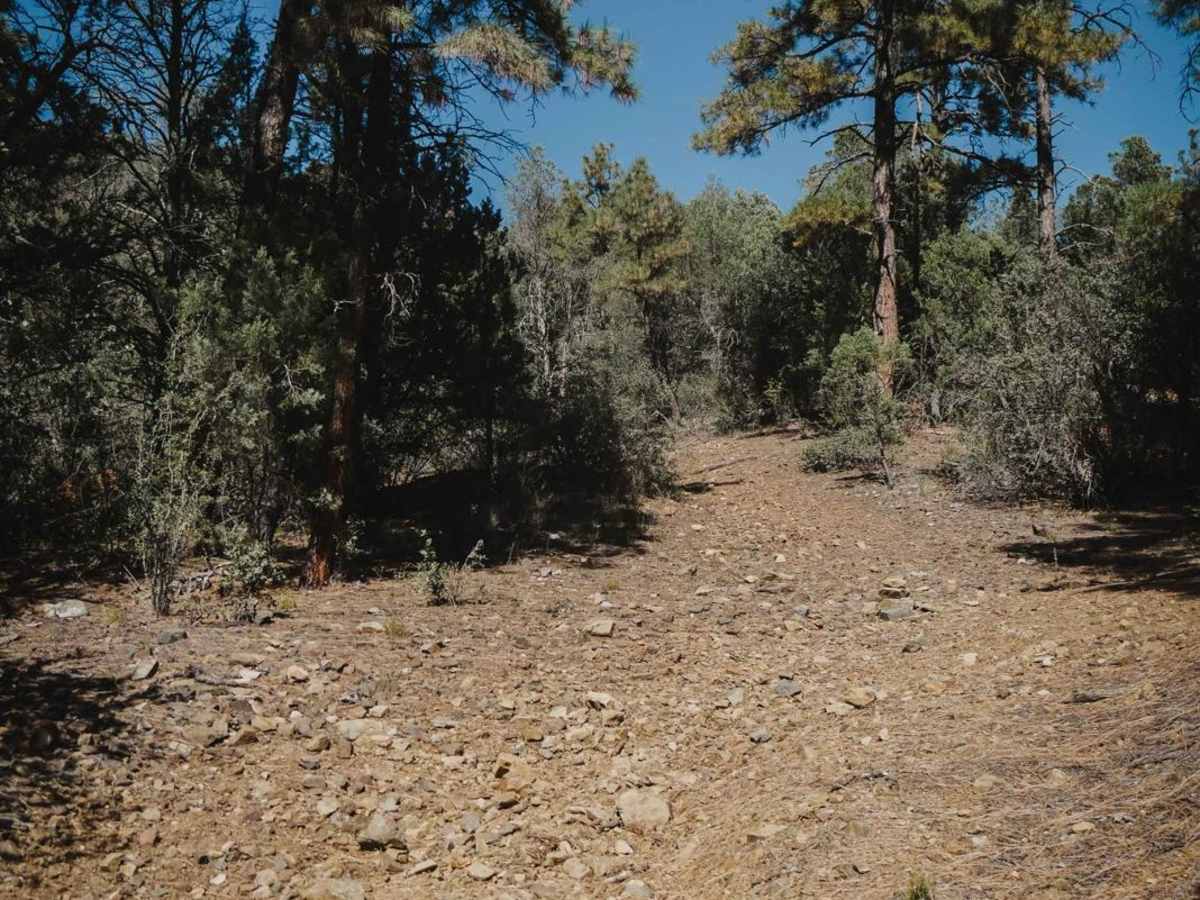 Prospectors photo 6