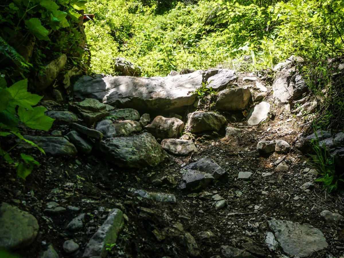 Dam Creek trail photo