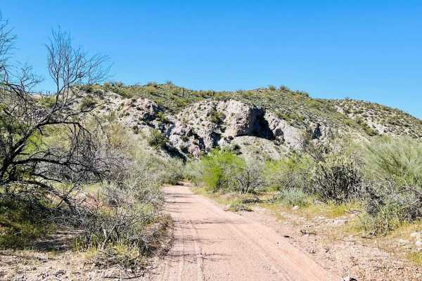 Turtleback Wash