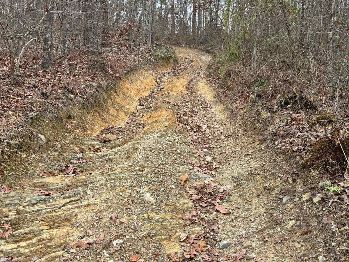 23 trail photo