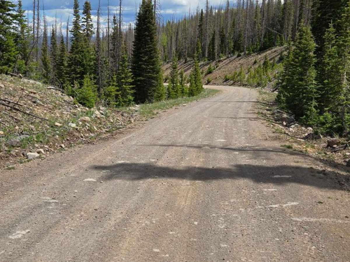 Fox Mountain Road photo 3