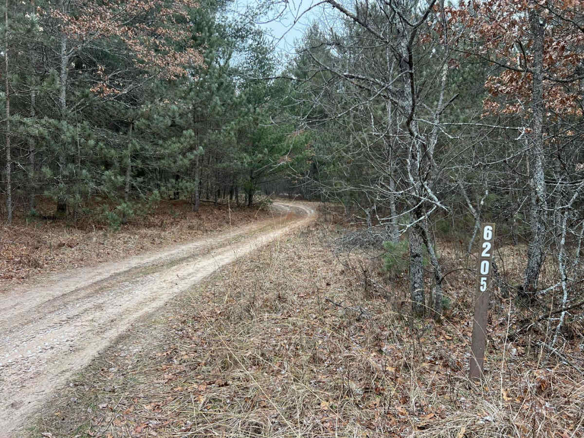 NFS 6205 trail photo