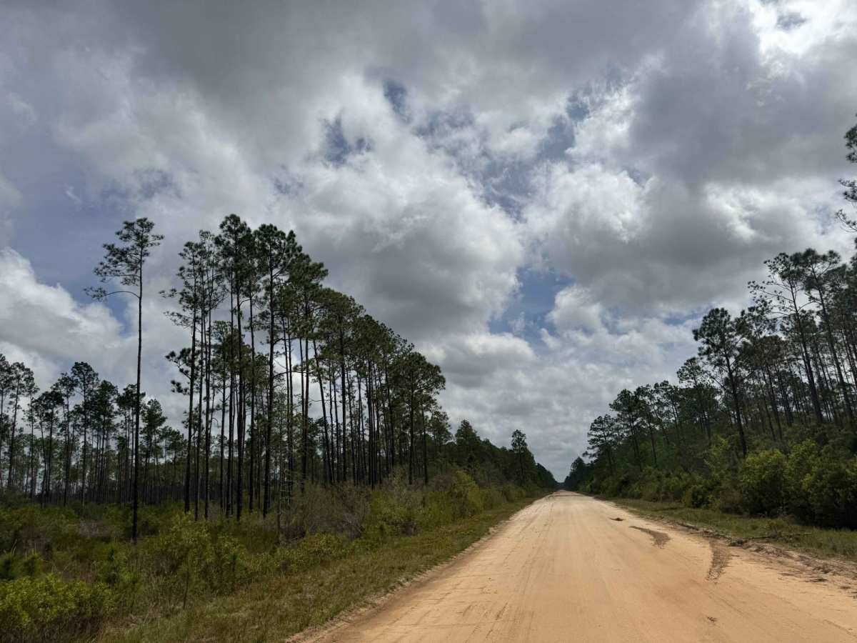 SFR 22 trail photo
