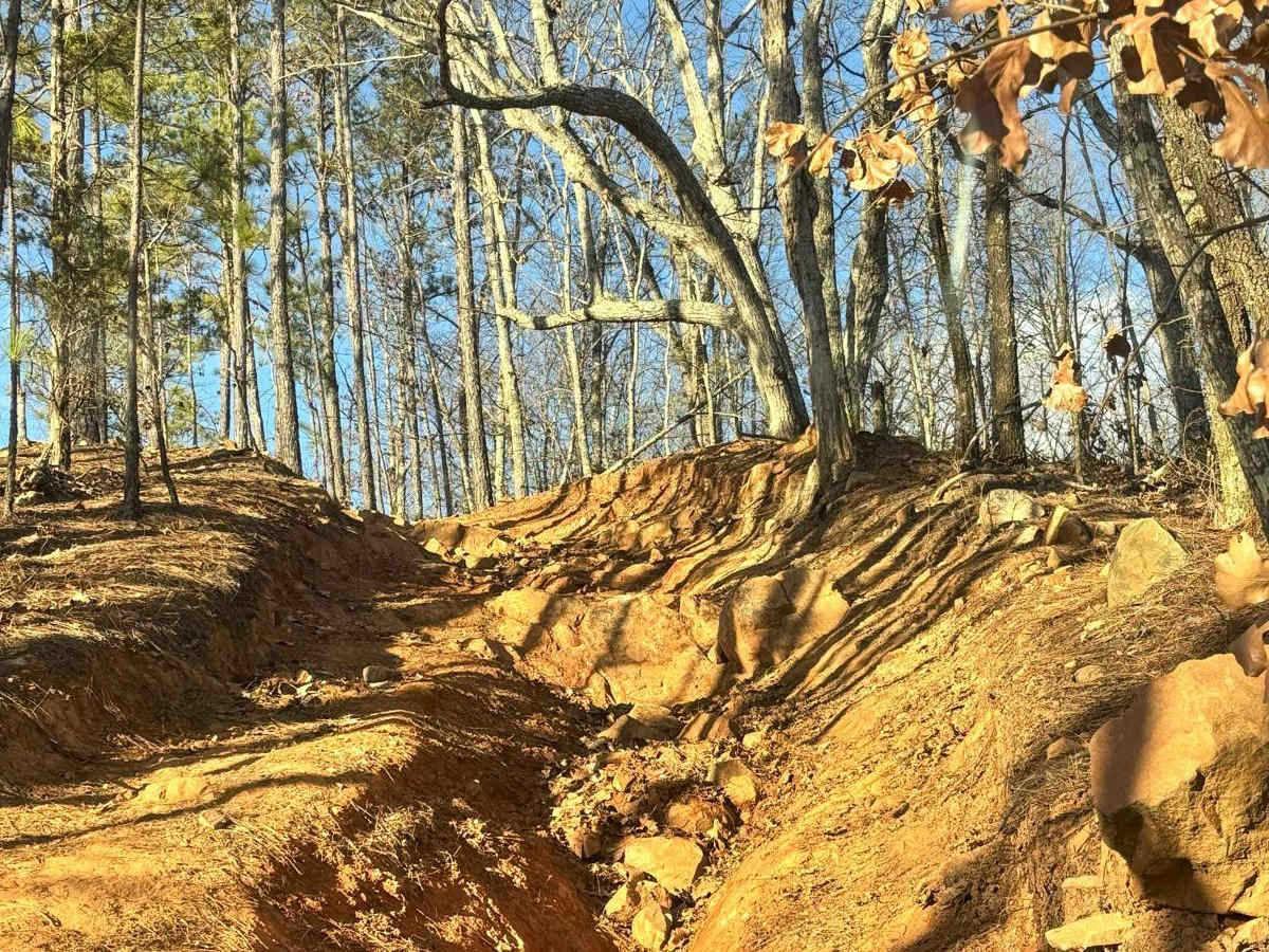 21 trail photo