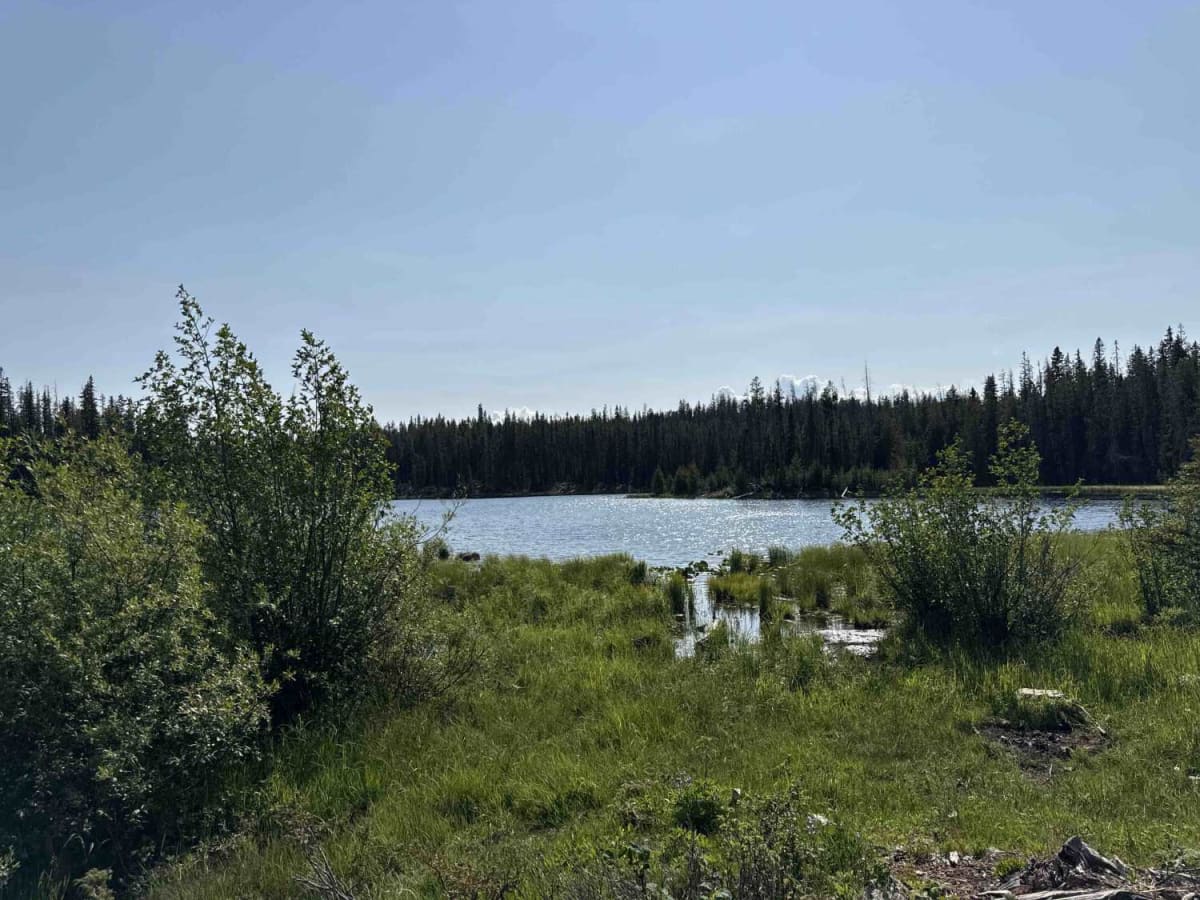 Kaiser Bill Lake photo 3