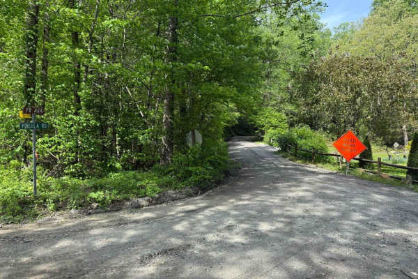 Pineola Road - FS 464