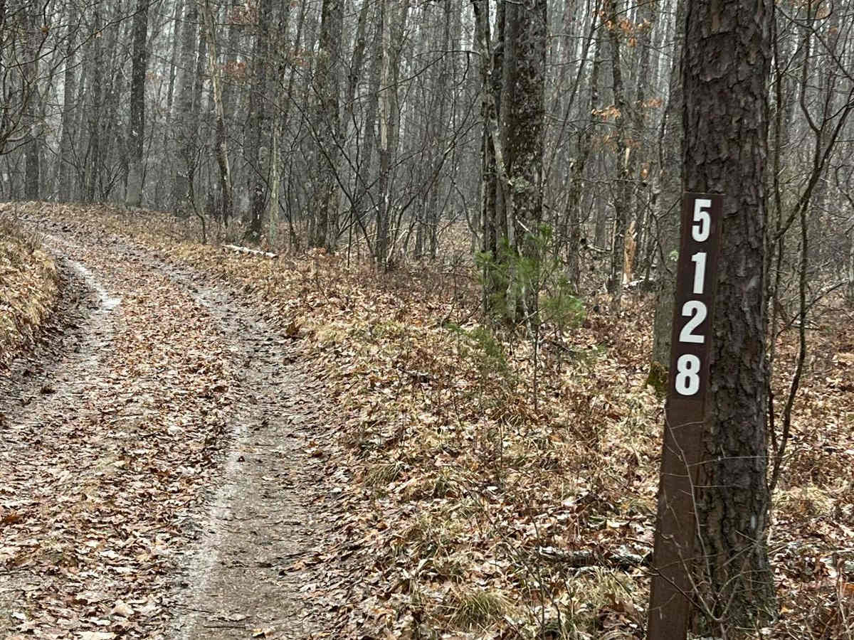 NFS 5128 trail photo