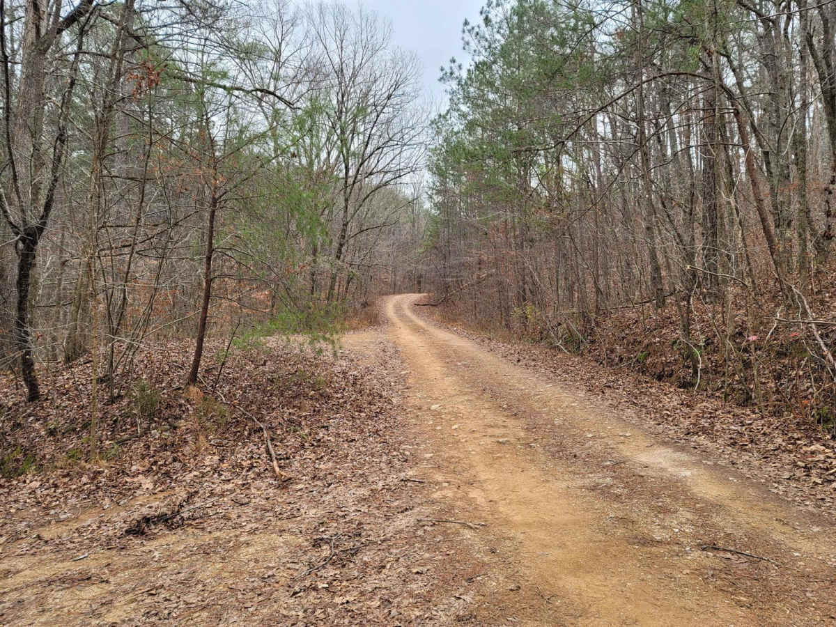 USFSR #570C - Greenleaf trail photo