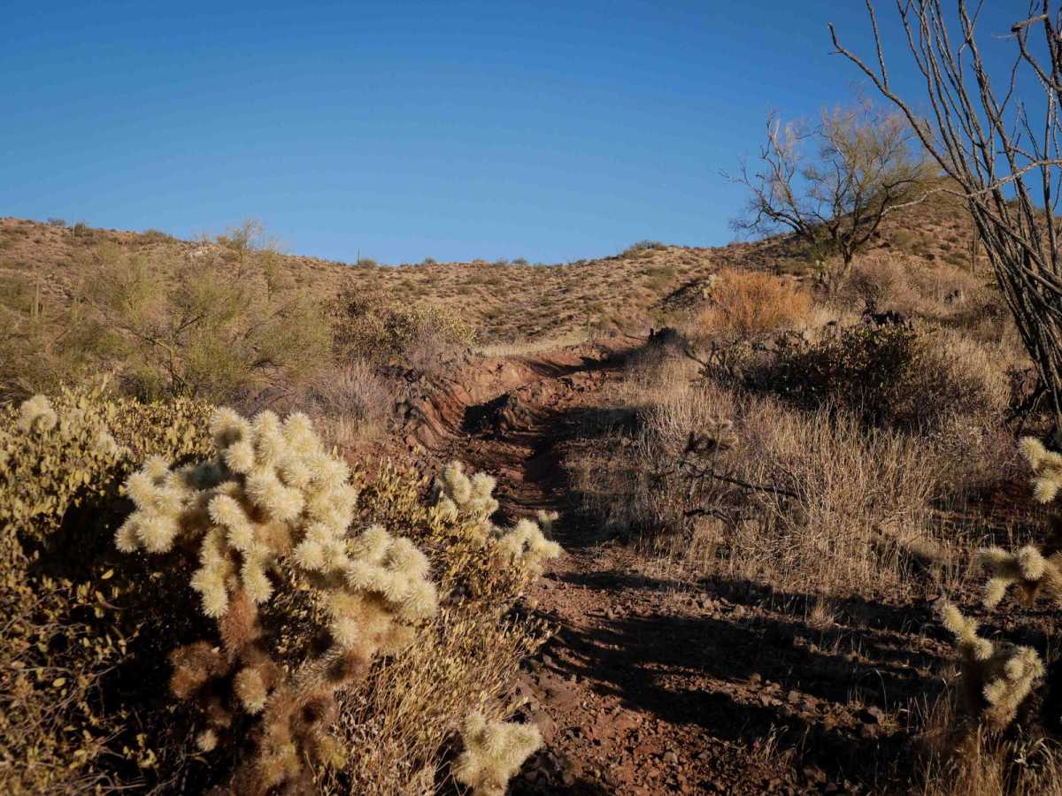 North Castle Singletrack photo 3